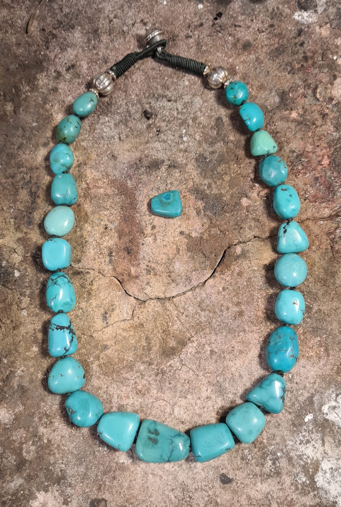 ollyo campus decoration